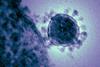 Middle_East_respiratory_syndrome-related_coronavirus