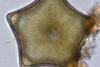 Low-Res_oo_1536307