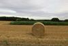 Stubble,_straw_bale_and_maize_-_geograph.org.uk_-_5500915