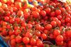 Tomatoes_(356304443)