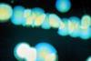 Low-Res_Guy_Bezard_BRUCELLA ABORTUS_correc