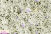 Low-Res_Large Area Biocoating v2