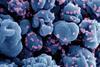 Novel_Coronavirus_SARS-CoV-2_070124