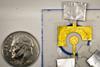 Low-Res_MIT-DNA-Sensor-01-press