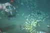 Low-Res_photo 1