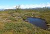 Permafrost_thaw_pond_Abisko
