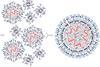 Vaccines-09-00065-g002.webp