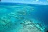 The_Great_Barrier_Reef,_Queensland,_Cairns_(Ank_kumar)_03