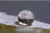 Low-Res_fungal-waterproof-coatings-HR