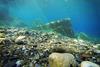 Seabed in Mongiove