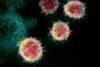Novel_Coronavirus_SARS-CoV-2 (1)