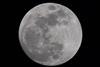 Rare_Blue_Super_Moon_1