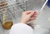 Low-Res_Microbial Cultivation Using TPX Film Bags
