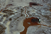 Low-Res_CMSR03