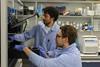 Low-Res_resistance_free_antibiotics