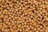 chickpeas-1882839_1280