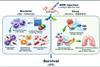 Low-Res_Attachment 1. Schematic illustration of DDM-induced innate immune activation and infection protection
