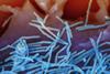 Human_Respiratory_Syncytial_Virus_(RSV)_-_52453988775
