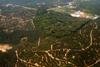 Oil_palm_and_rainforest_fragment_Borneo