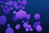 23239_lores