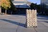 Low-Res_3DBioP-11_aem (1)