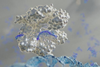 Low-Res_RNA CRISPR DNA Lehman image8