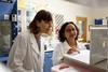 Low-Res_Dr. Hamer_Dr. Balasubramanian_feline flea research -20260616-NP-25