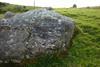 reyfad stone