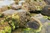 Low-Res_Microbialite pool