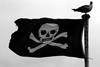 Pirate_Flag_(6084517123)