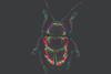 Low-Res_Spilopyra_sumptuosa_Veit_Grabe_Roy_Kirsch