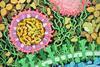 197-Zika_Virus-ZikaVirus.tif