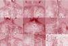 Low-Res_1 (1)