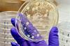 Low-Res_PR_BEE lab, IISc