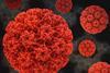 HumanPapillomavirus