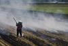 Farmer_burning_straw_stubble_in_Chishang_on_26_June_2014