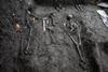 Low-Res_Skeletons, Stavanger