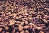 hector-emilio-gonzalez-InufphpCMm0-unsplash