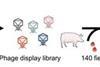 Low-Res_图片31