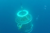 Low-Res_CTD Rosette under water GoPro still