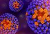 Influenza_Virus_-_52636756737 (1)