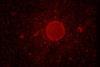 Low-Res_GglsAH - WTH