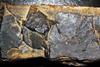 Gunflint_Chert_(Paleoproterozoic,_~1.878_Ga;_near_Port_Arthur,_Ontario,_Canada)_1_(45257036305)