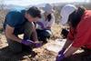 Low-Res_couradeau-helpers-dirt