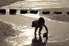 Baltic_beach_No1