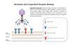 Phage1