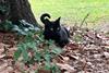 Low-Res_Pepper-environmental-portrait