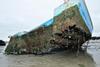 Biofouling_sur_une_embarcation_côtière_(Ifremer_00555-66701_-_43691)
