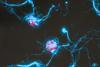 Low-Res_TW-xenic-CW-100x-HL-2024marlene-reich-300dpi-srgb-3000xnn-4zu3