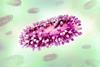 Human_Respiratory_Syncytial_Virus_(RSV)_-_52870647004